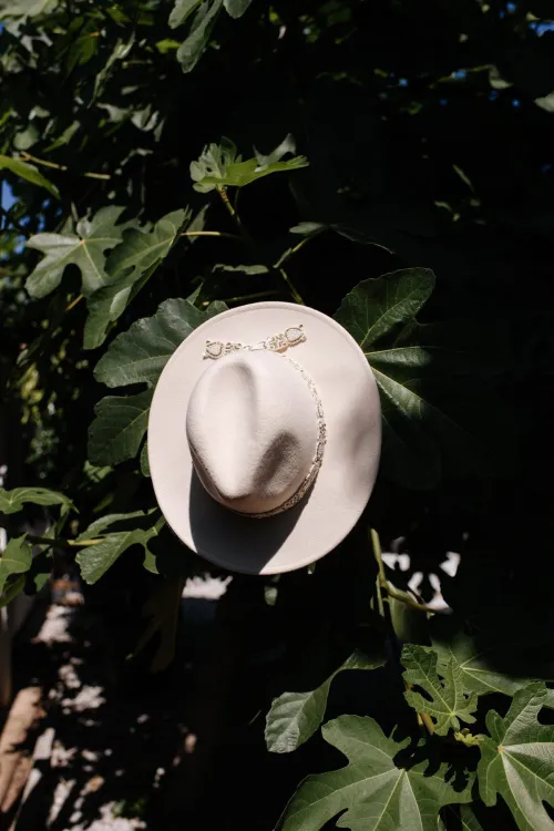 Sombrero claro entre hojas verdes